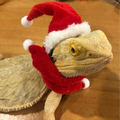 Lizard Crawling Pet Out Christmas Dress Up, Hat+Scarf, Hat+Scarf+Traction Rope