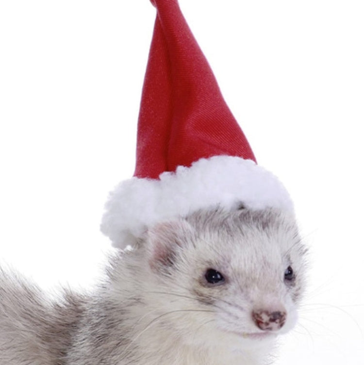 Lizard Crawling Pet Out Christmas Dress Up, Hat+Scarf, Hat+Scarf+Traction Rope