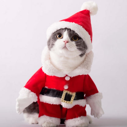 Pet Three-Dimensional Christmas Suit, S, M, XL