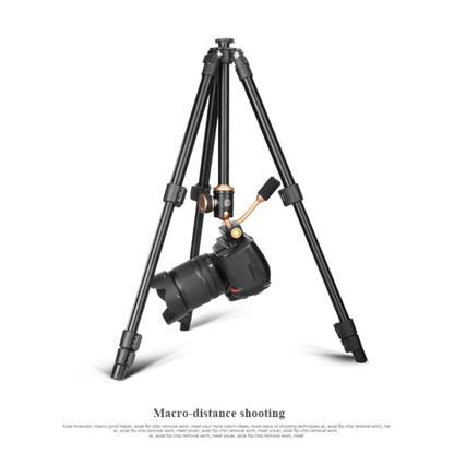 Q160s 4-Section Folding Legs Live Broadcast Aluminum Alloy Tripod Mount with Damping Tripod Ball-Head, Q160s