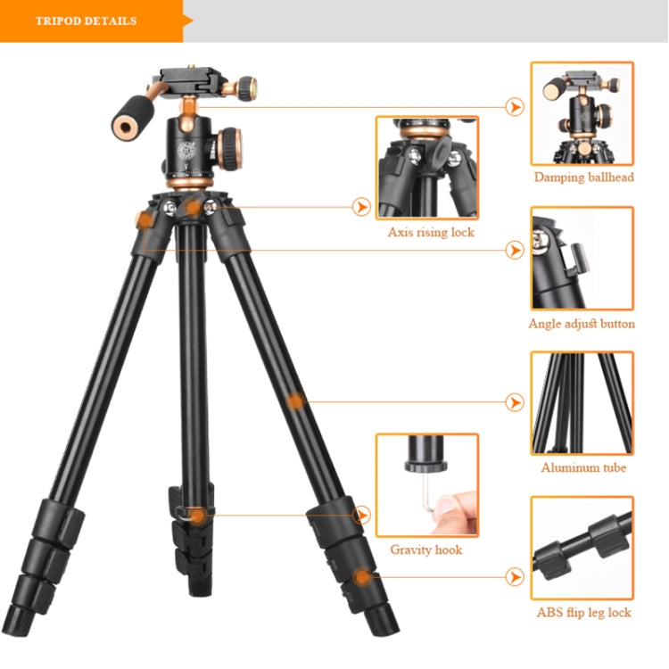 Q160s 4-Section Folding Legs Live Broadcast Aluminum Alloy Tripod Mount with Damping Tripod Ball-Head, Q160s