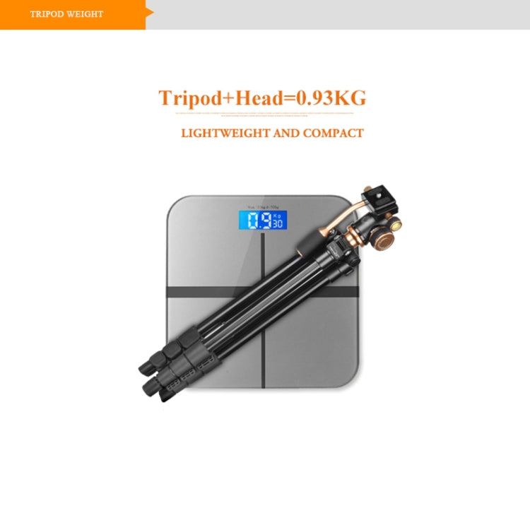 Q160s 4-Section Folding Legs Live Broadcast Aluminum Alloy Tripod Mount with Damping Tripod Ball-Head, Q160s