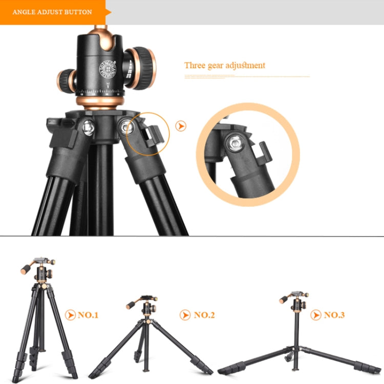 Q160s 4-Section Folding Legs Live Broadcast Aluminum Alloy Tripod Mount with Damping Tripod Ball-Head, Q160s