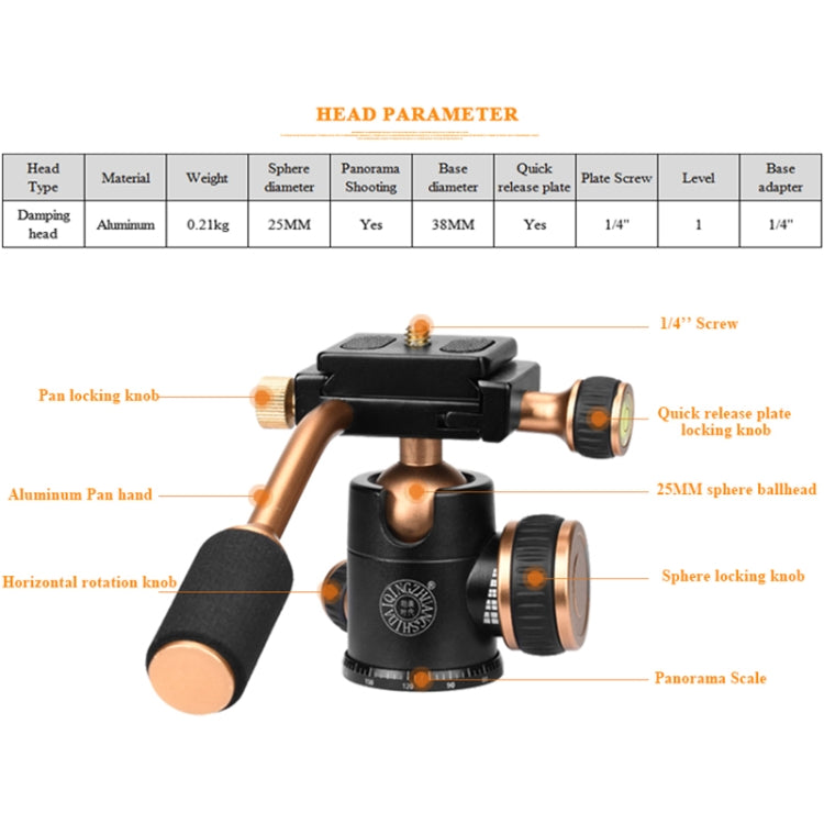 Q160s 4-Section Folding Legs Live Broadcast Aluminum Alloy Tripod Mount with Damping Tripod Ball-Head, Q160s
