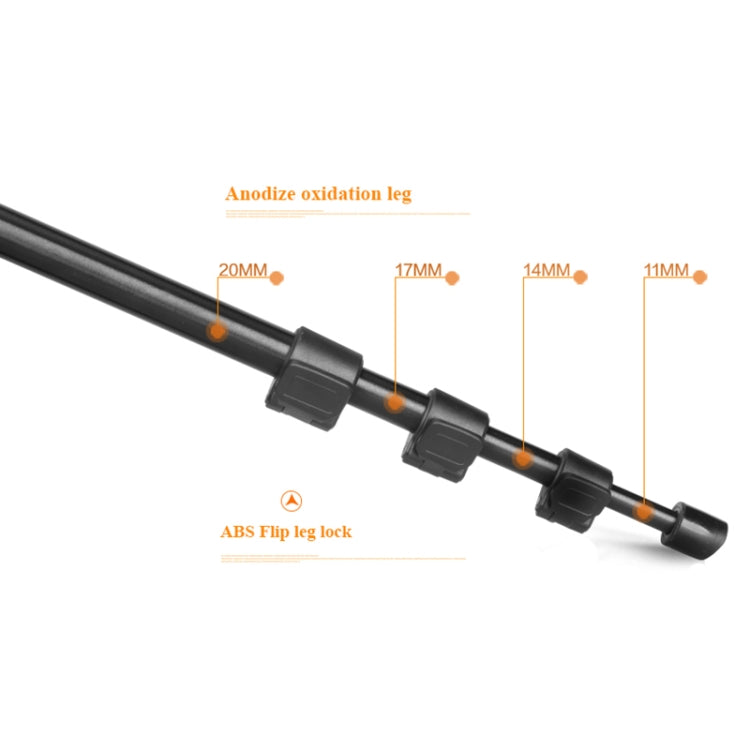 Q160s 4-Section Folding Legs Live Broadcast Aluminum Alloy Tripod Mount with Damping Tripod Ball-Head, Q160s