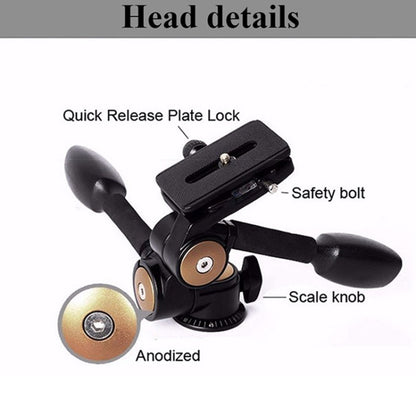 Q620 4-Section Folding Legs Heavy Duty Aluminum Alloy Tripod With Three-Dimensional Damping Tripod Heads, Q620