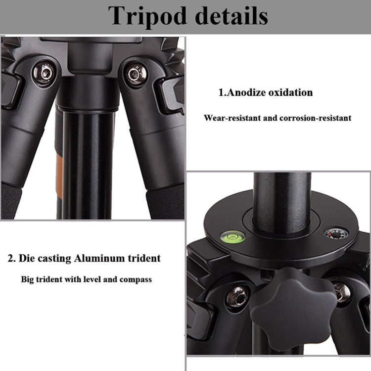 Q620 4-Section Folding Legs Heavy Duty Aluminum Alloy Tripod With Three-Dimensional Damping Tripod Heads, Q620