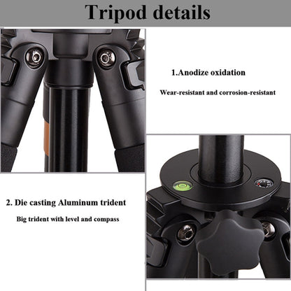 Q620 4-Section Folding Legs Heavy Duty Aluminum Alloy Tripod With Three-Dimensional Damping Tripod Heads, Q620