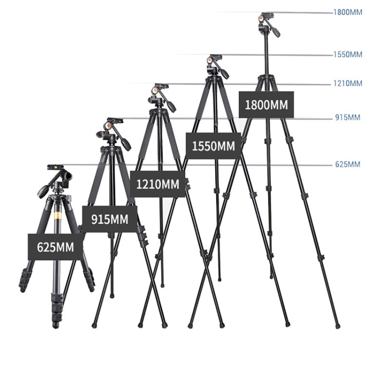 Q620 4-Section Folding Legs Heavy Duty Aluminum Alloy Tripod With Three-Dimensional Damping Tripod Heads, Q620