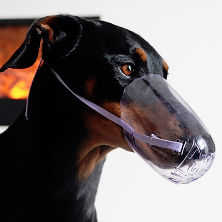 Pets Bathing Injection Anti-Bite Transparent Muzzle, M