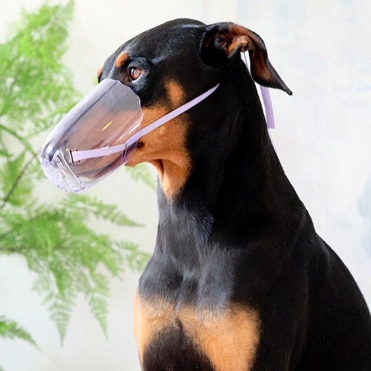 Pets Bathing Injection Anti-Bite Transparent Muzzle, M