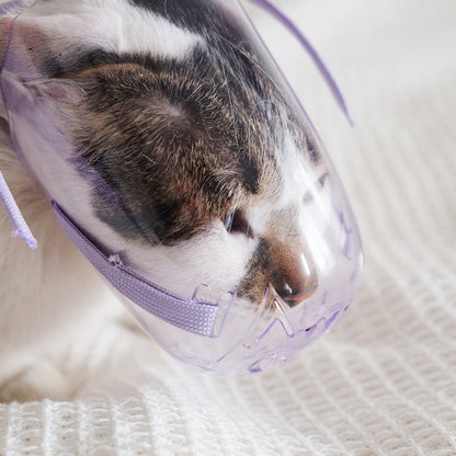 Pets Bathing Injection Anti-Bite Transparent Muzzle, M