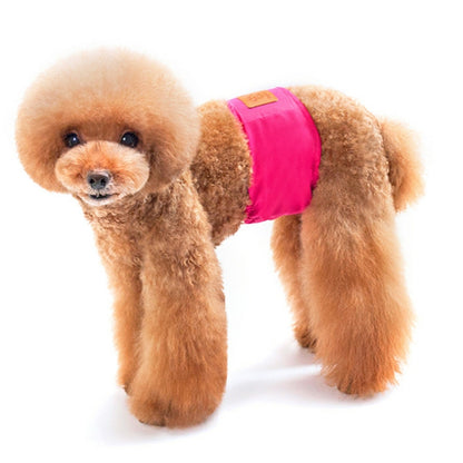 Solid Color Physiology Pants For Pet Male Dogs Polite And Anti-Harassment Puppy Safety Pants, S, M, L, XL