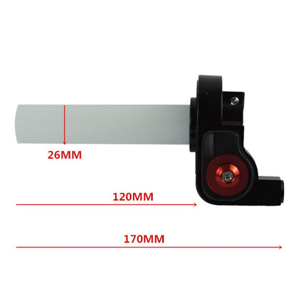 Motorcycle Modification Can See Through Bearing Color Roller Oiler Seat Big Screw Oil