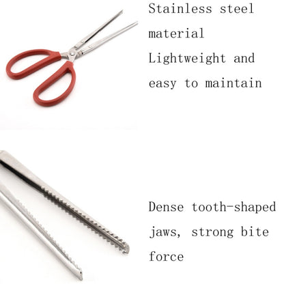 Crab Tongs Loach Tongs Sea Tool, 30cm Straight Clip, 38cm Straight Clip, 38cm Curved Clip, 53cm Ctraight Clip, 53cm Curved Clip
