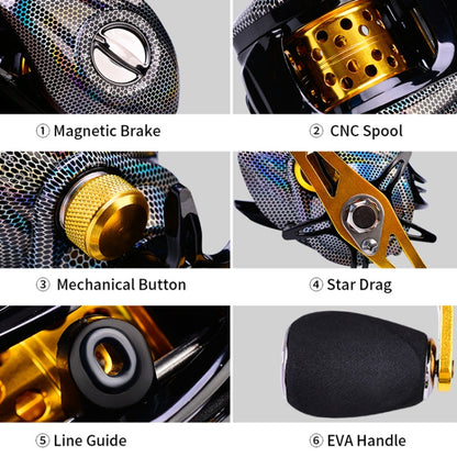 PROBEROS Metal Drop Wheel 18+1 Axis Lure Fish Wheel, Style:, DW132SR Right Hand, DW132WR Right Hand, DW132WL Left Hand, DW132PR Right Hand, DW132PL Left Hand