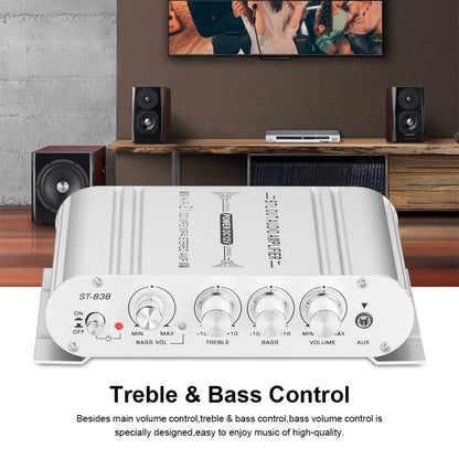 ST-838 Mini Digital Hi-Fi 2.1 Channel Power Amplifier Stereo Bass Audio Player CD MP3 MP4 PC Speaker, US Plug, EU Plug