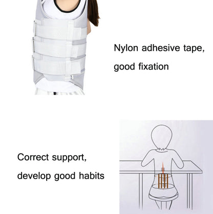 Thoracolumbar Fixation Belt Strap Type Protective Gear Without Airbag, Regular Style S, Regular Style M, Regular Style L, Regular Style XL, Mesh Style S, Mesh Style M, Mesh Style L, Mesh Style XL