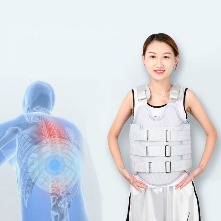 Thoracolumbar Fixation Belt Strap Type Protective Gear Without Airbag, Regular Style S, Regular Style M, Regular Style L, Regular Style XL, Mesh Style S, Mesh Style M, Mesh Style L, Mesh Style XL