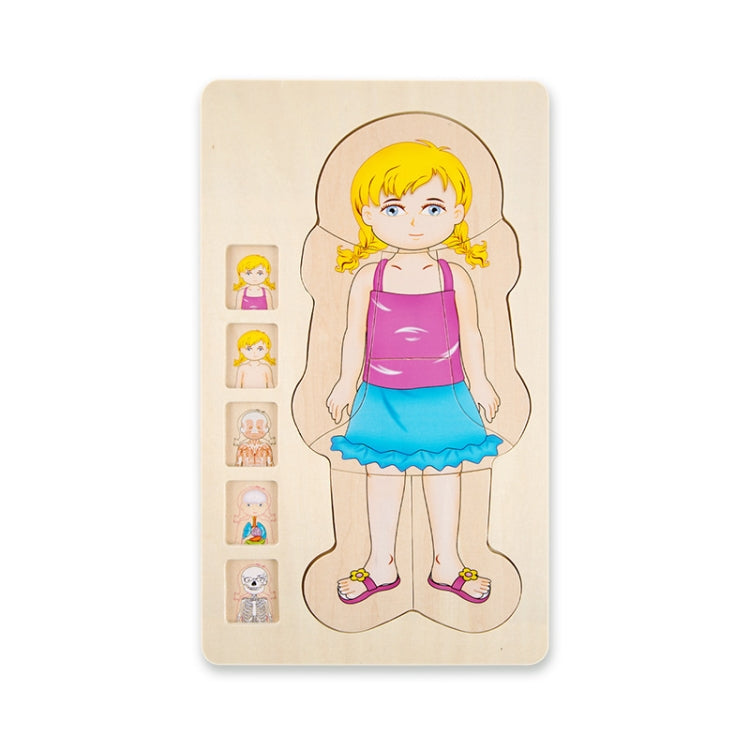 Onshine Five-Layer Human Body Structure Puzzle Wooden Puzzles For Children Physical Cognition, Boy, Girl