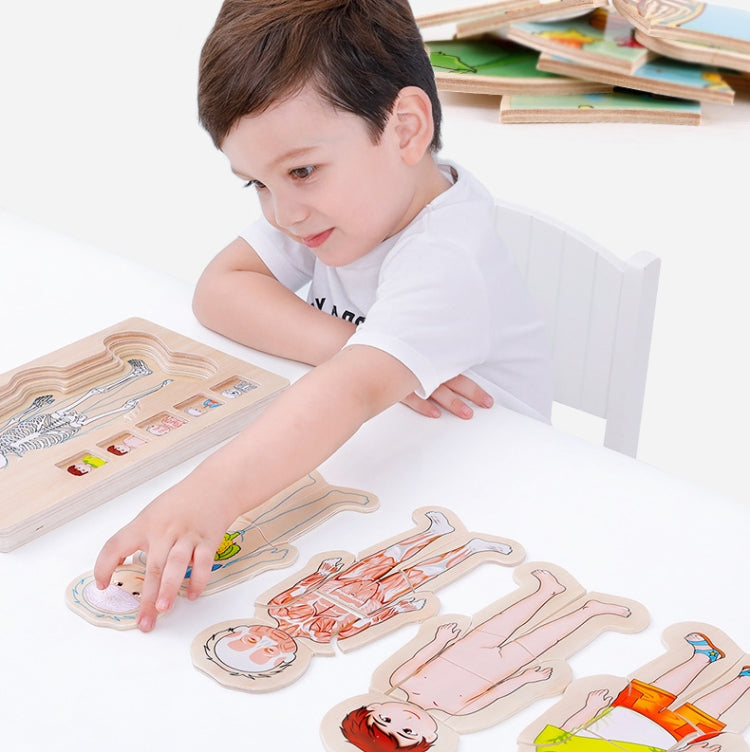 Onshine Five-Layer Human Body Structure Puzzle Wooden Puzzles For Children Physical Cognition, Boy, Girl