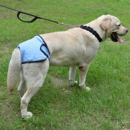 Pet Physiological Pants Large Medium & Small Dogs Anti-Harassment Safety Pants, XS