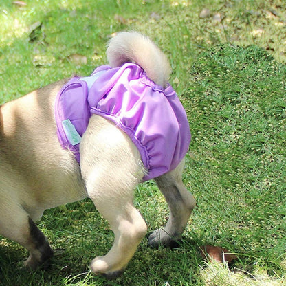 Pet Physiological Pants Pet Waterproof Panties, XS, S, M, L, XL