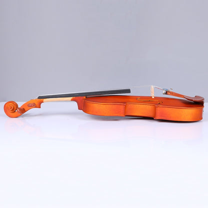 Colored Maple Wood Violin Beginner Practice Violin, Wood Violin