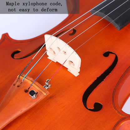 Colored Maple Wood Violin Beginner Practice Violin, Wood Violin