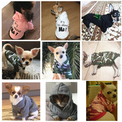 Autumn Winter Fleece Hooded Teddy Pet Dog Sweater Clothes, S, M, L