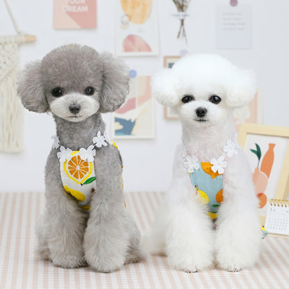 Pet Clothing Dog Cat Dress Lemon Skirt, S, M, L, XL, XS