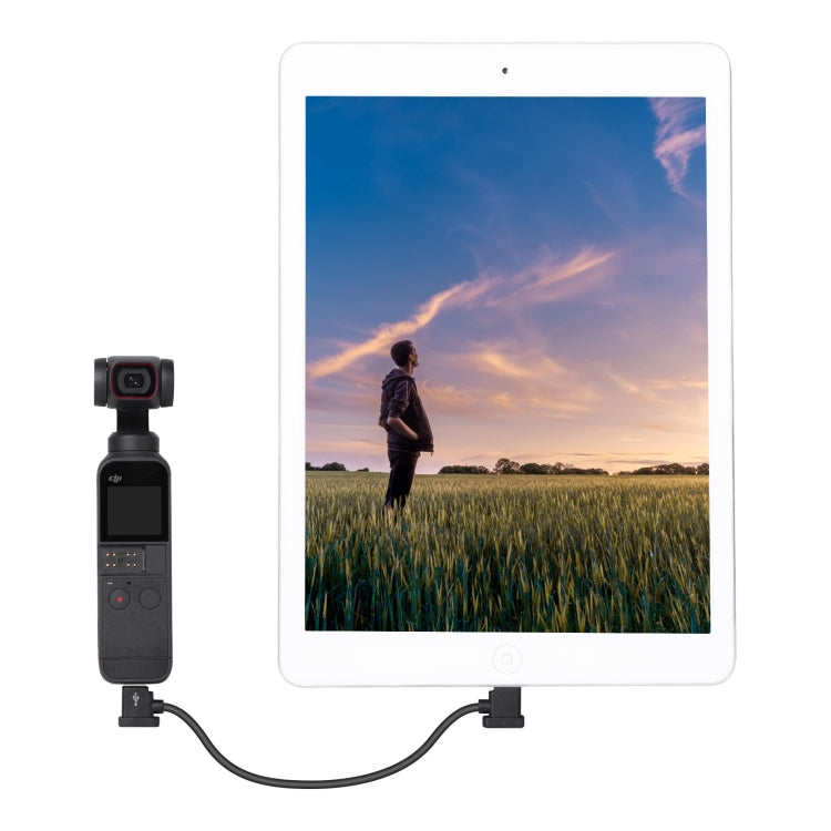 Sunnylife TY-X9304 Suitable For DJI Mavic Air 2S / DJI FPV Flight Glasses V2 / Mavic Mini2 / Osmo Pocket 2 Mobile Phone Tablet Cable, 15cm Type-C to 8 Pin Cable, 15cm Type-C to Micro USB  Cable, 15cm Type-C to Type-C Cable, 30cm Type-C to 8 Pin Cable...