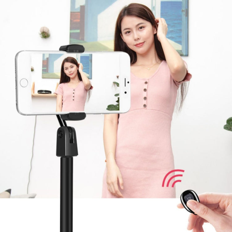 4 PCS Desktop Stand Mobile Phone Tablet Live Broadcast Stand Telescopic Disc Stand, 4 PCS