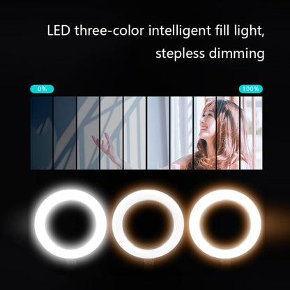 FP-10 Desktop Multi-Function Photography Support Phone Live Stand LED Fill Light, Specification:, Desktop Bracket + Phone Clip