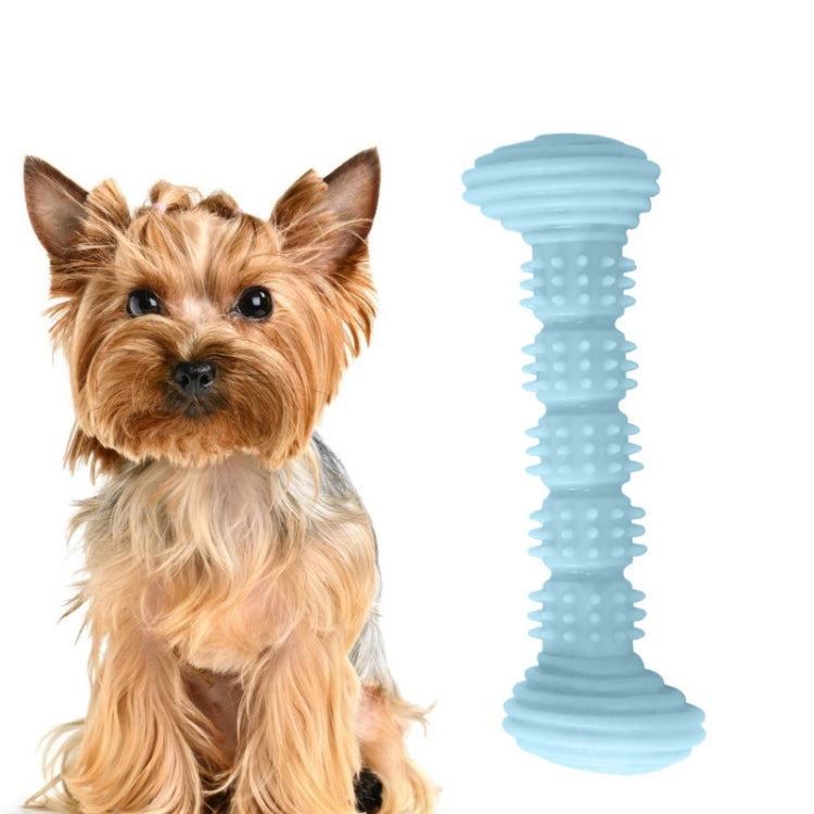 Pet TPR Molar Toy Chew Dog Toothbrush Toy Clean Teeth Molar Tease Dog Stick, Blue, Pink, Green, Rose Red, Lake Blue, Orange