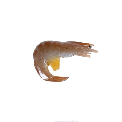 3 PCS Simulation Shrimp Camera Props Children Play House Toys, Big Red Shrimp, Big Green Shrimp, Big Grilled Shrimp
