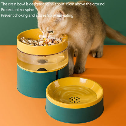 DT331 Automatic Feeder Pet Bowl Increased High Protect Neck Water Dispenser Dual-Purpose Food Bowl, Green, Blue, Red