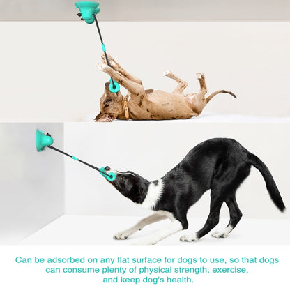 Dog Toy Double Suction Cup Pull Rope Molar Teeth Bite-Resistant Tooth Cleaning Stick Pet Supplies, Lake Blue, Green