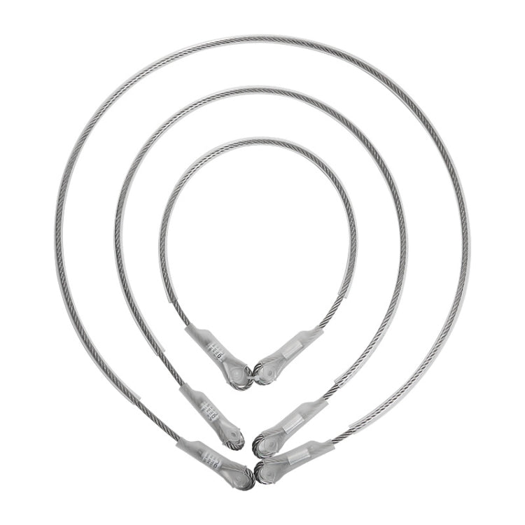 XINDA XD-S9852 Steel Cable Anchor Point Climbing Aerial Work Rescue Steel Wire Rope, Size:, 100cm, 150cm, 200cm