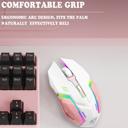 Shipadoo LD-122 4 in 1 Girly Glowing Keyboard + Mouse + Earphone + Mouse Pad Set, Pink Punk, Black Punk