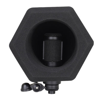 TEYUN Small Microphone Recording Noise Reduction Soundproof Cover, C2