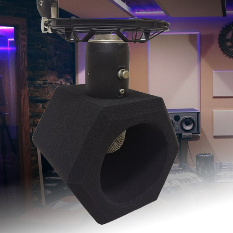TEYUN Small Microphone Recording Noise Reduction Soundproof Cover, C2