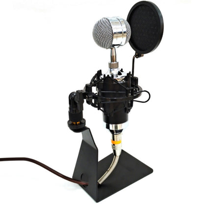 TEYUN L-Shaped Iron Triangle Metal Microphone Stand