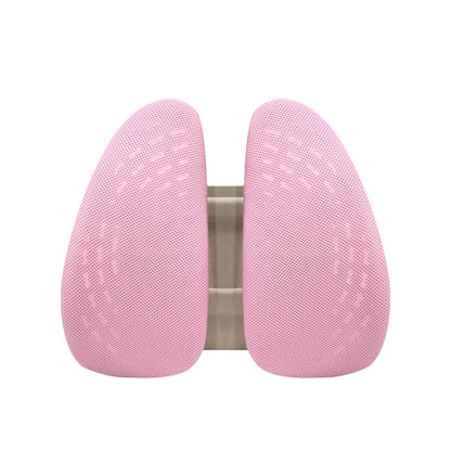 5297 Car Massage Seat Cushion, Black with Black, Gray with Gray, Beige with Beige, Beige with Pink