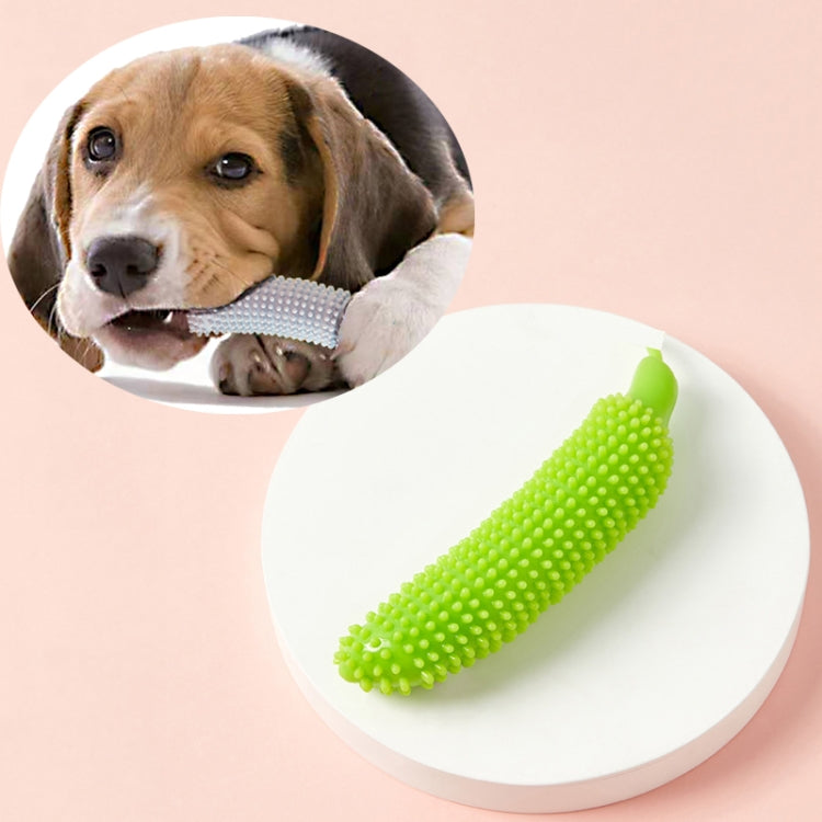 Cucumber Shaped Pet Molar Stick, Blue, Green, Pink