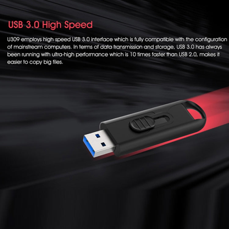 Netac U309 High Speed USB3.0 Push-Pull Encrypted USB Flash Drive, 32GB, 64GB, 128GB