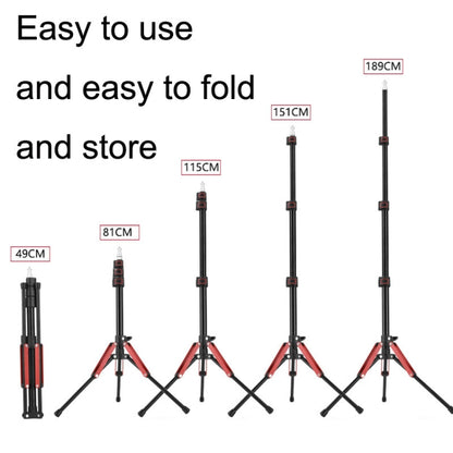 Aluminum Alloy Folding Mobile Phone Stand Live Selfie Floor Stand, Grey, Red