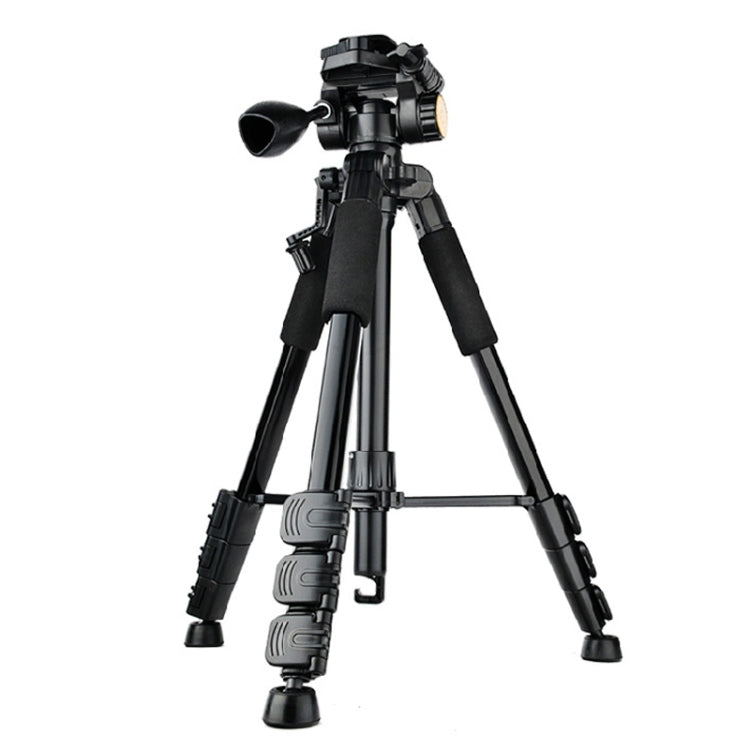 QingZhuangShiDai Q111 Aluminum Alloy Mobile Phone Camera Photography Tripod, Q111(Black)