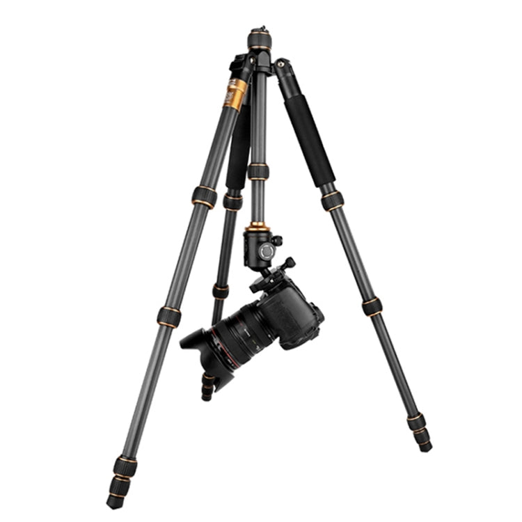 QingZhuangShiDai Q666C Portable Travel Photography Ball Head SLR Camera Carbon Fiber Tripod, Q666C(Black)