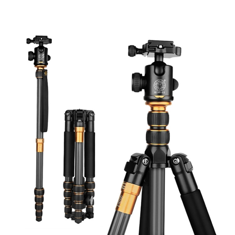 QingZhuangShiDai Q666C Portable Travel Photography Ball Head SLR Camera Carbon Fiber Tripod, Q666C(Black)